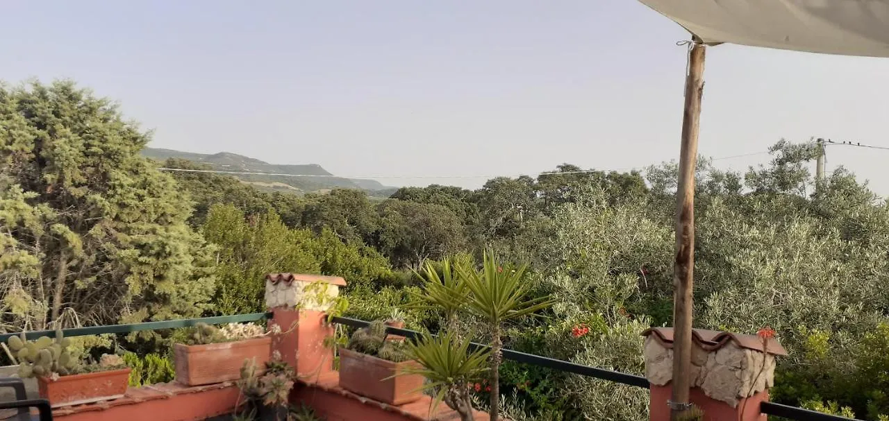 Apartment Ferienwohnung Il Vecchio Lentisco Alghero Italien